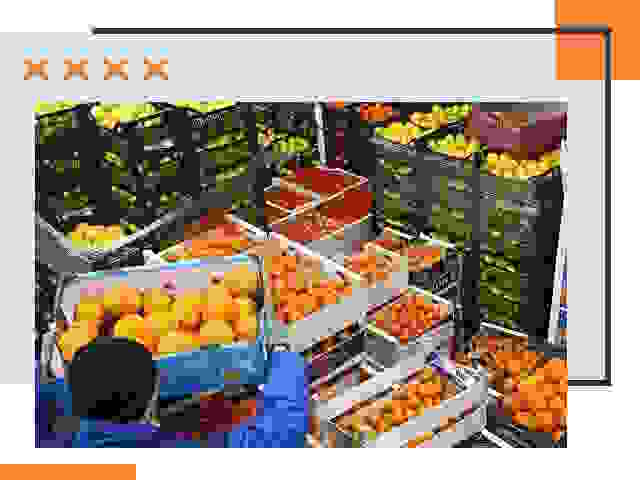 Перевозка скоропортящихся продуктов в Орске
